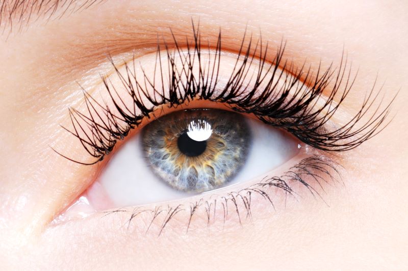 Wimpern Natur Lifting Lashes